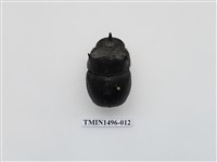 藏品(大黑糞金龜)的圖片